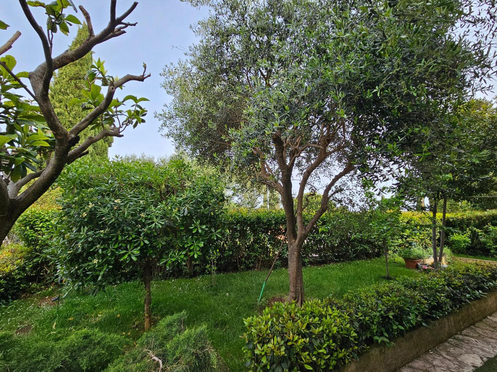 Zita - Heart Of Rovinj, Apartment For 2, Free Parking, 2Min Center, 5Min Beach Walk 외부 사진